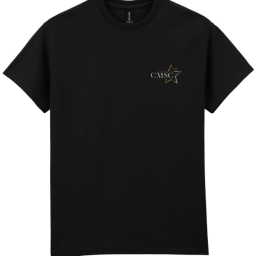 Gildan Ultra Cotton T-Shirt