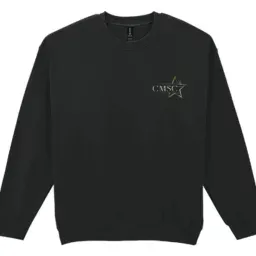 Gildan Heavy Blend Sweatshirt