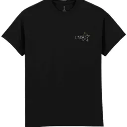 Gildan Ultra Cotton T-Shirt